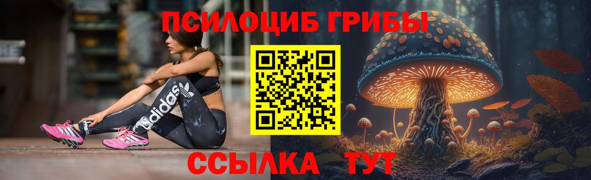 Псилоцибиновые грибы ЛСД  Вход с VPN  Кириши 