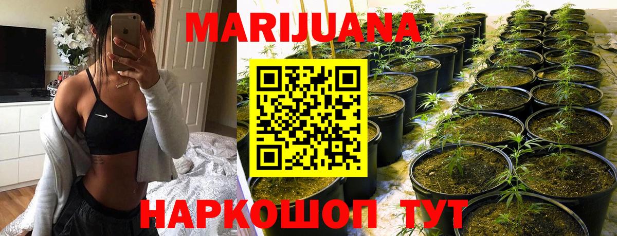 Канабис Bruce Banner Кириши